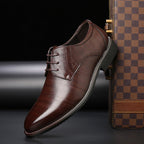 Thomas | Men's Lace-Up Shoes with Brogue Details, Elegant Business Shoes | Bella Blue | Black